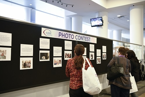 WEB Photo Contest