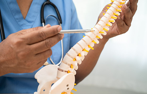 BlogPost5 NP showing patient the spine 500px