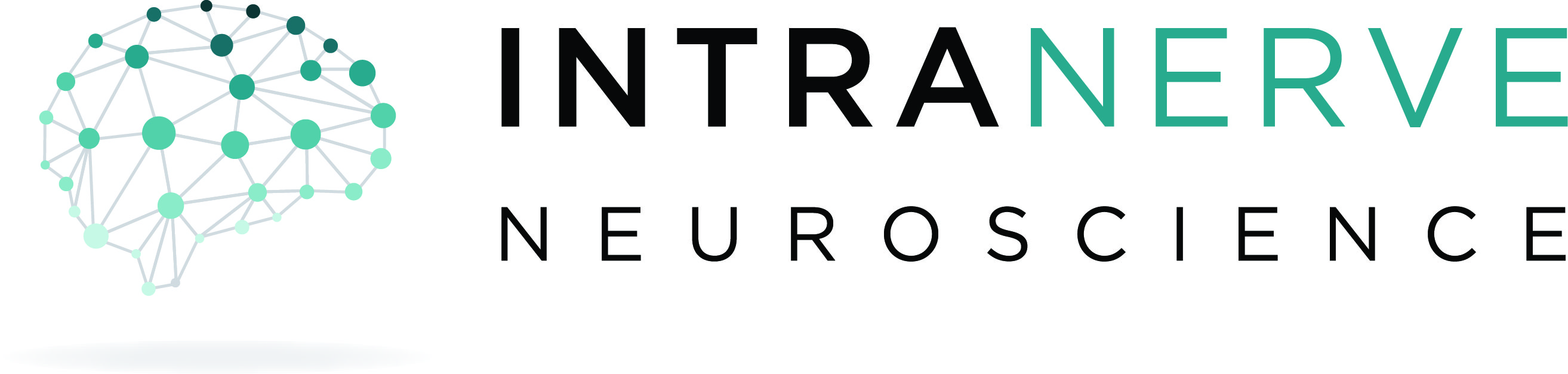 IntraNerve 2019 Logo 002 1